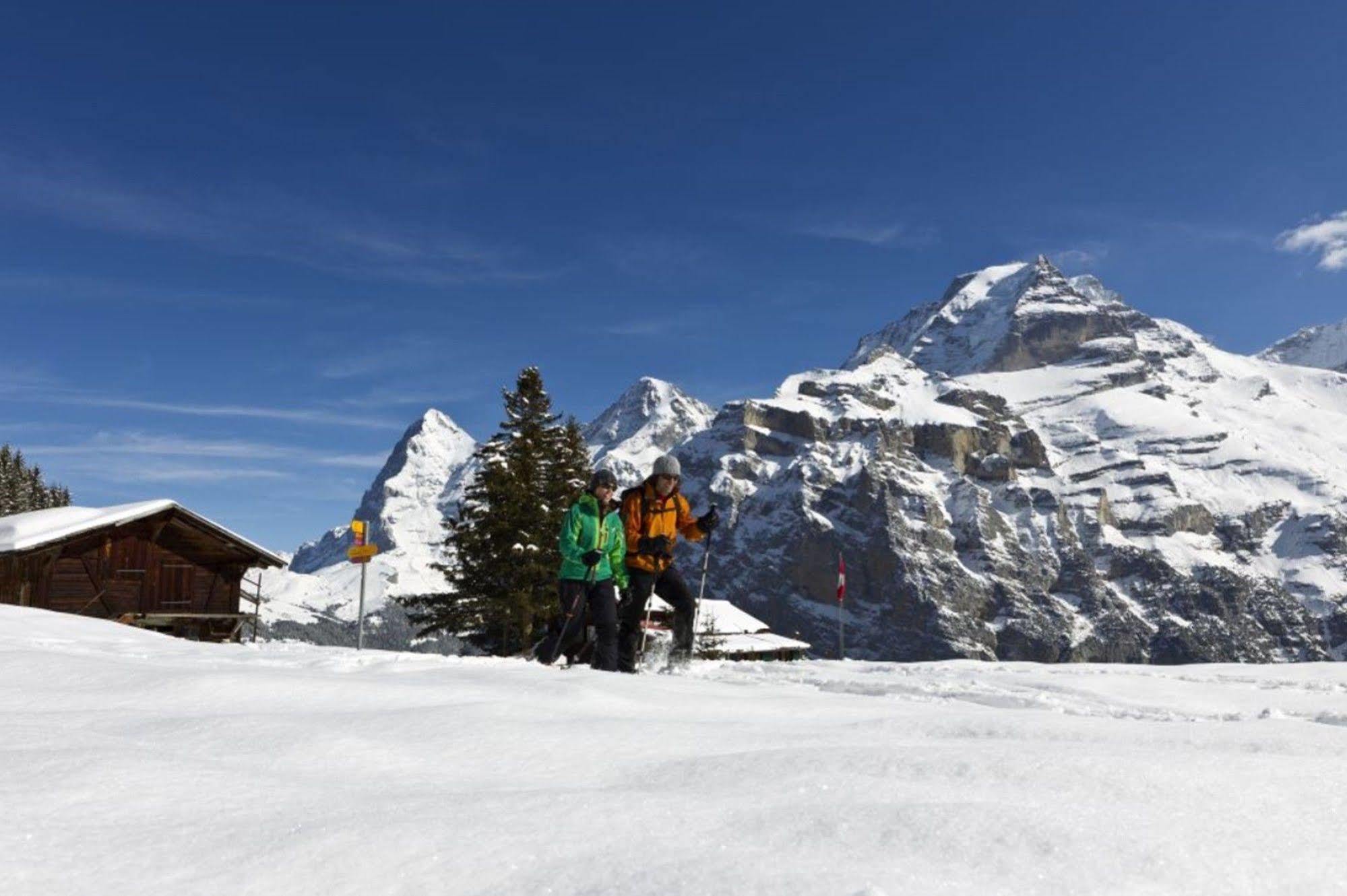 Alpenruh